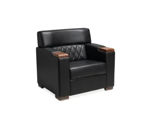 PLATİN KOLTUK TAKIMI